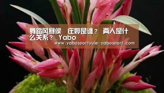 舞蹈风暴侯垚庄婷是谁？ 两人是什么关系？_Yabo