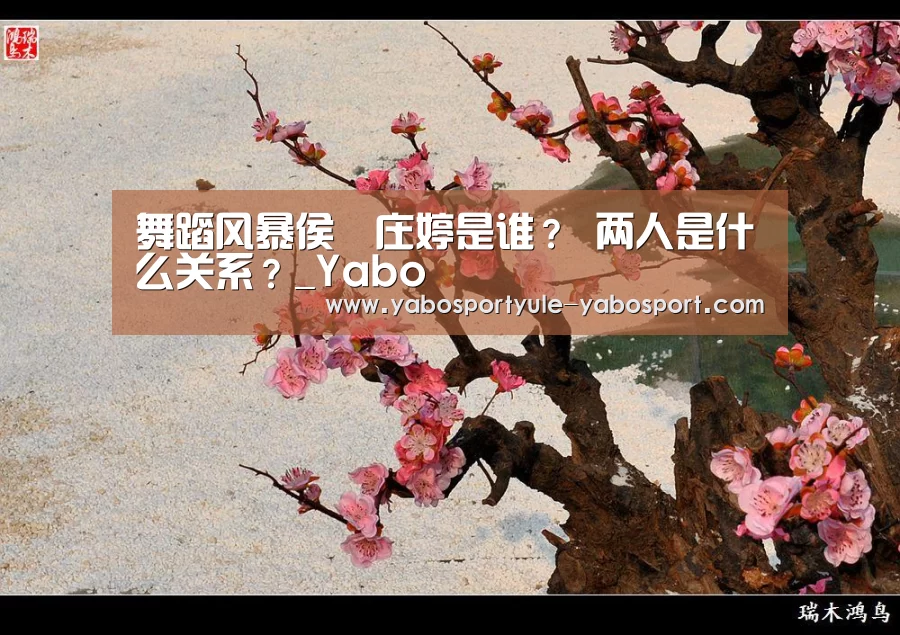 舞蹈风暴侯垚庄婷是谁? 两人是什么关系?_Yabo(图2) 亚博娱乐