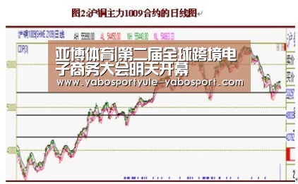 亚博体育|第二届全球跨境电子商务大会明天开幕(图4)